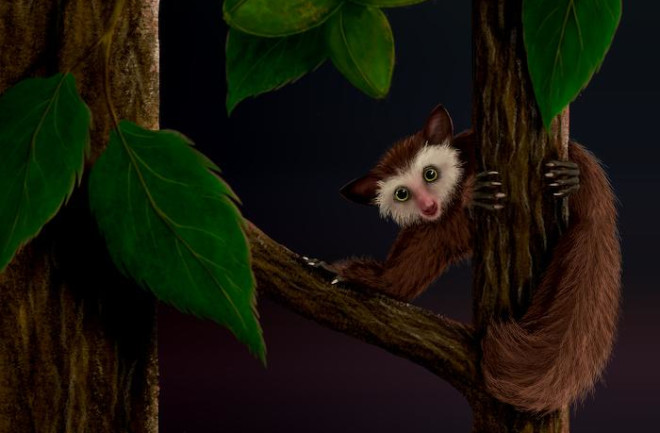 American monkey, last primate to inhabit North America before humans