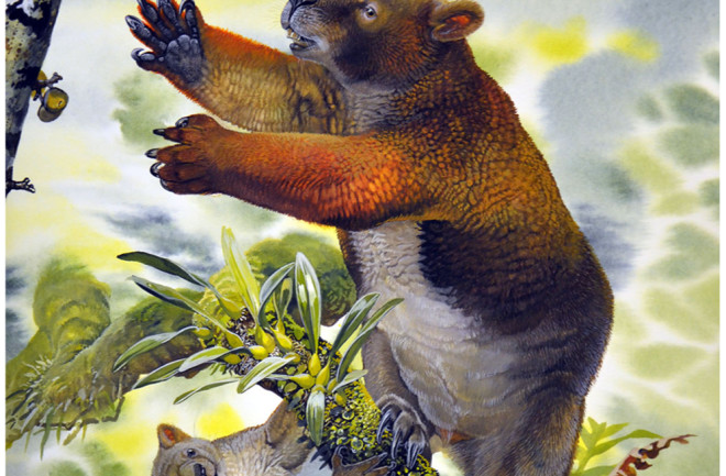 Reconstruction of Nimbadon lavarackorum mother and juvenile