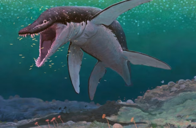 Lorraine Pliosaur