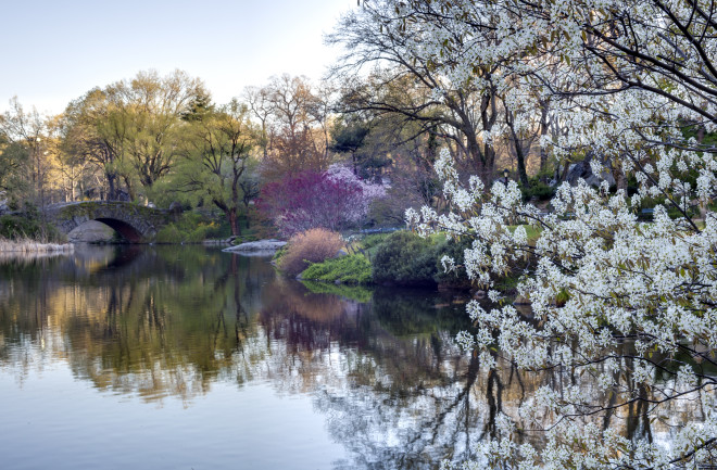 Central Park, New York City, Spring - John A. Anderson Shutterstock 100166354