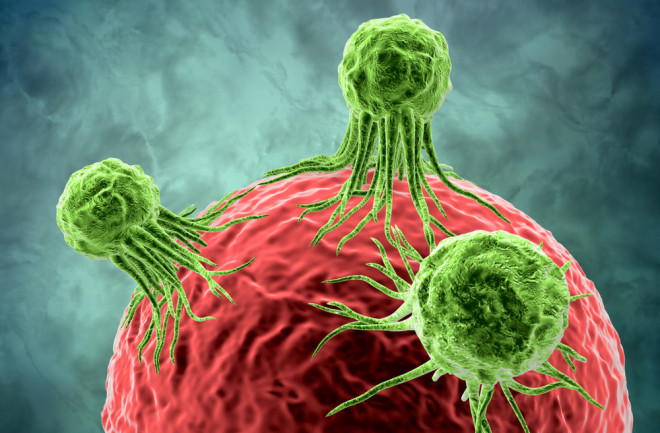 cancer cell - shutterstock