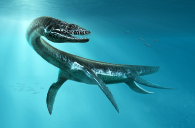 3D illustration of Plesiosaurus under water from the Jurassic era 