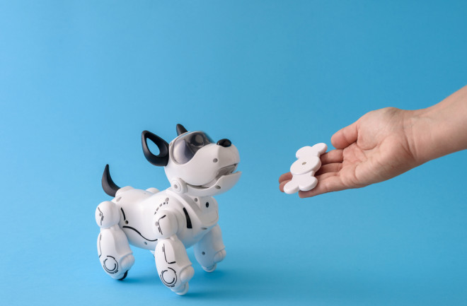 Dog Robot