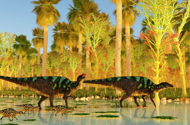 Maiasaura Dinosaurs cross Swamp 