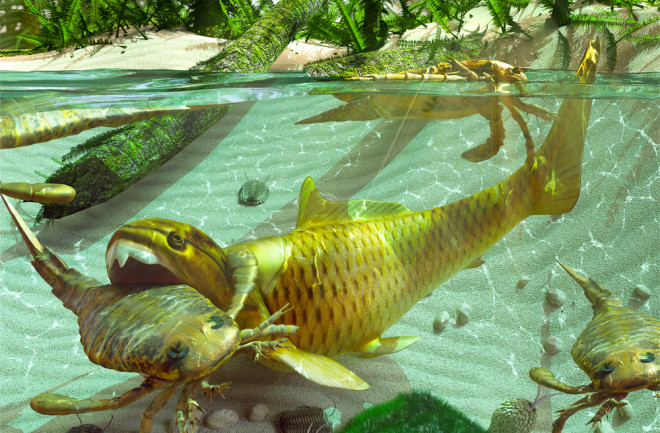 Illustration depicting a cycle of life in a lake during the Devonian Period