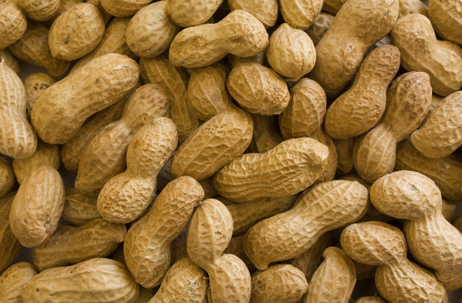 peanuts - shutterstock