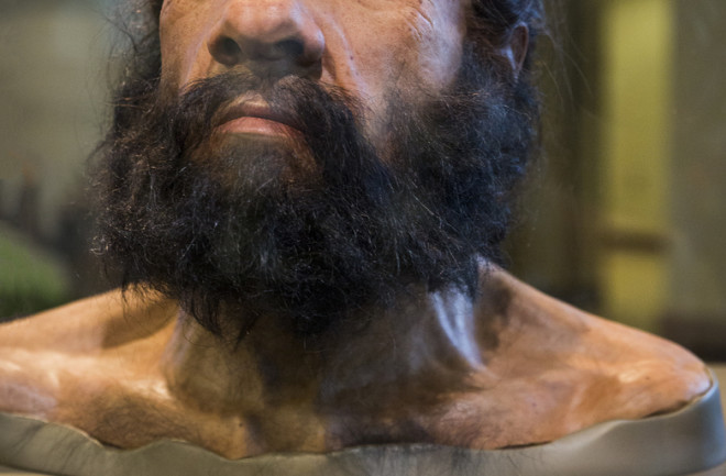 Neanderthal mask at Washington D.C. exhibit