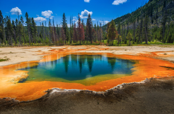 Yellowstone