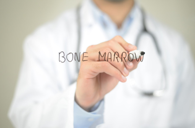 Bone Marrow