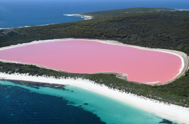 Pink Lake, Lake Hillier