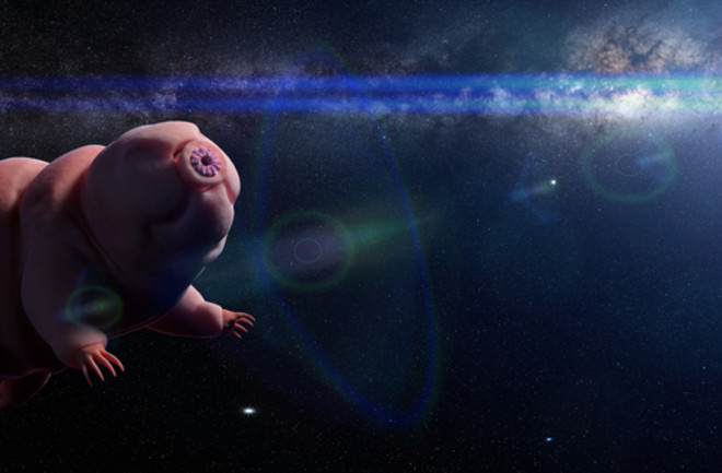 Tardigrade in space