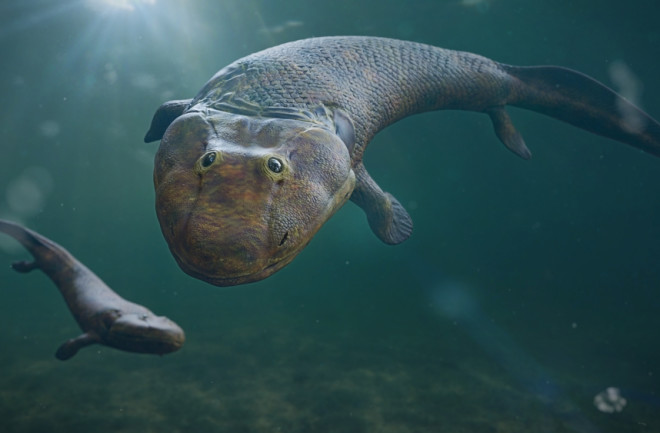 Tiktaalik