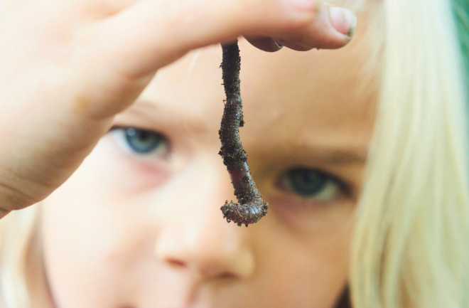 Child holding earthworm