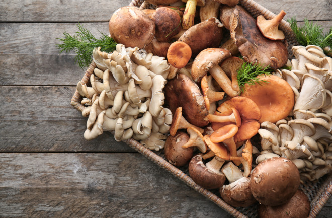 wicker tray with variety of mushrooms